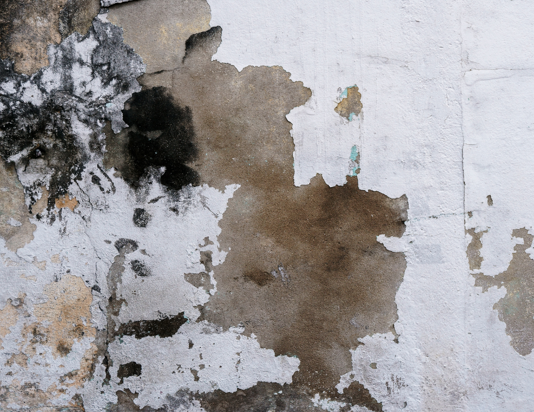signs to repaint your house exterior