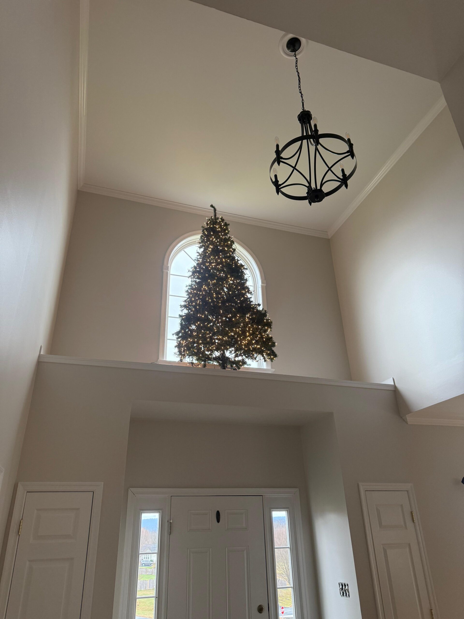 3F3699A7-E271-46CC-85F0-5306D7D24F95